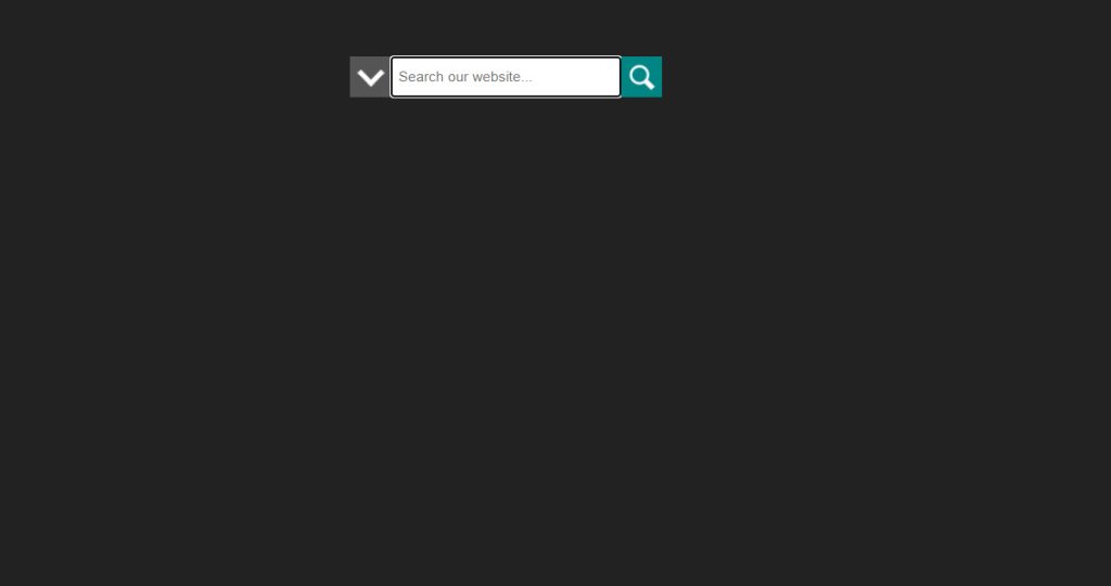 Top 15+ JQuery Search Boxes Examples