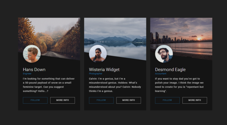 Profile Page Design in HTML and CSS With Source Code