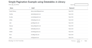 Read more about the article Creating A Table Pagination Using HTML