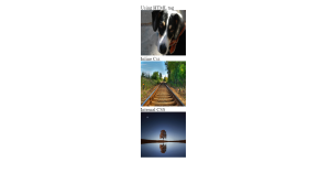 Read more about the article How to Resize Images in HTML