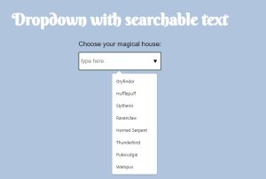 Read more about the article Drop-Down With Search Box Using HTML and CSS