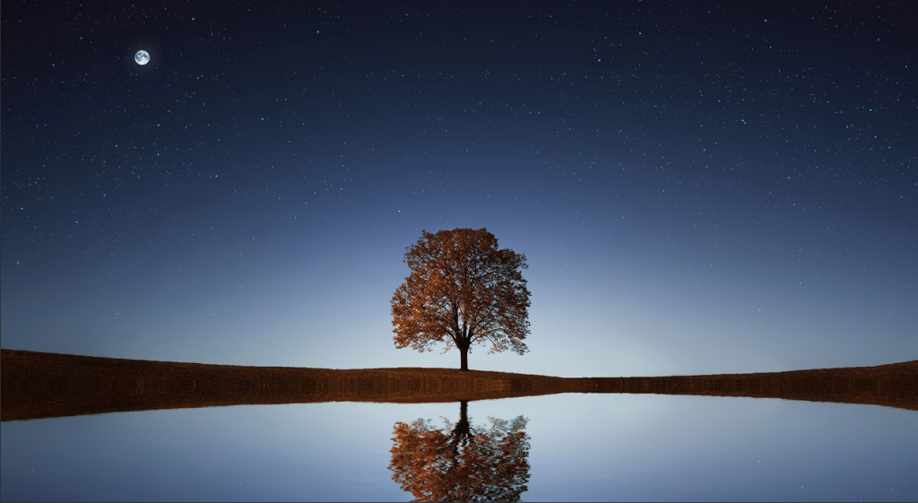 How to Resize Images in HTML