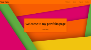 Simple Portfolio webpage using HTML and CSS 2023 edition