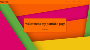 Simple Portfolio webpage using HTML and CSS 2023 edition