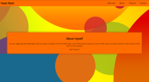 Simple Portfolio webpage using HTML and CSS 2023 edition