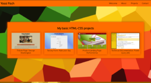 Simple Portfolio webpage using HTML and CSS 2023 edition