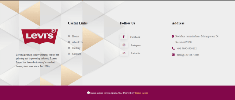 20+ CSS Footer Designs - CodeWithRandom