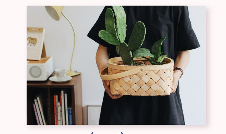 20+ CSS Image Sliders - CodeWithRandom