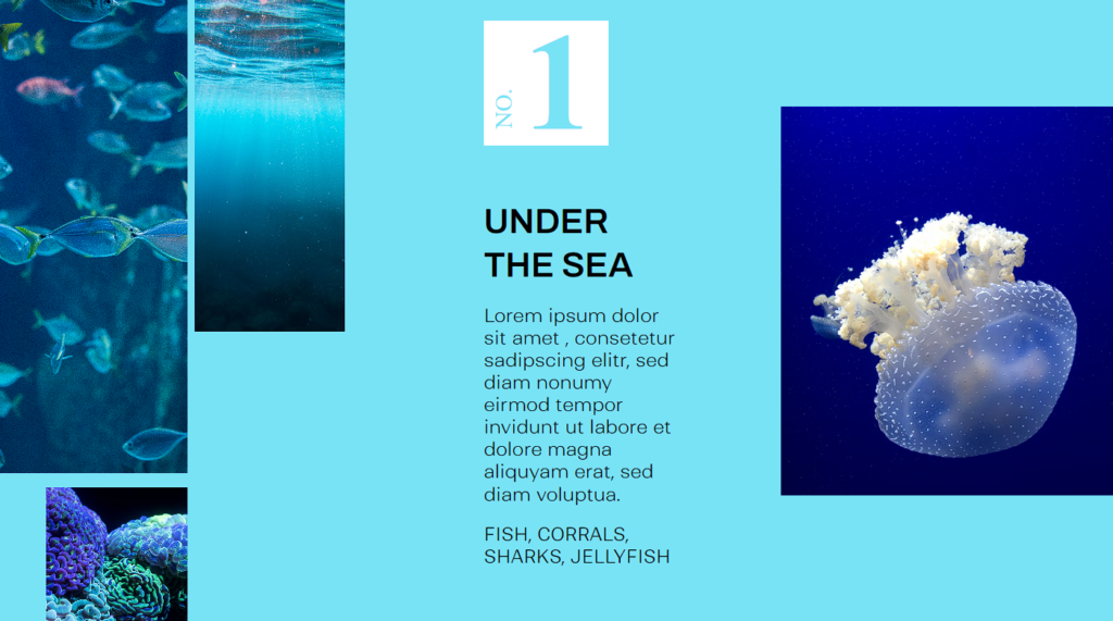 15+ CSS Magazine Layouts