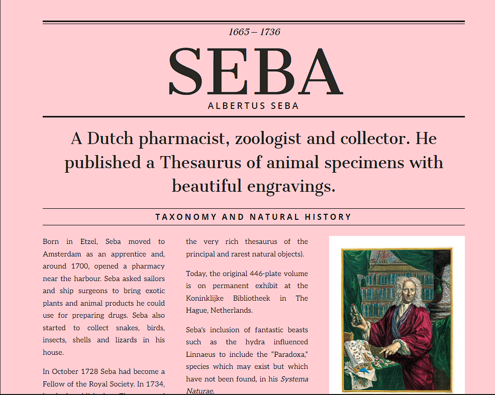 15+ CSS Magazine Layouts