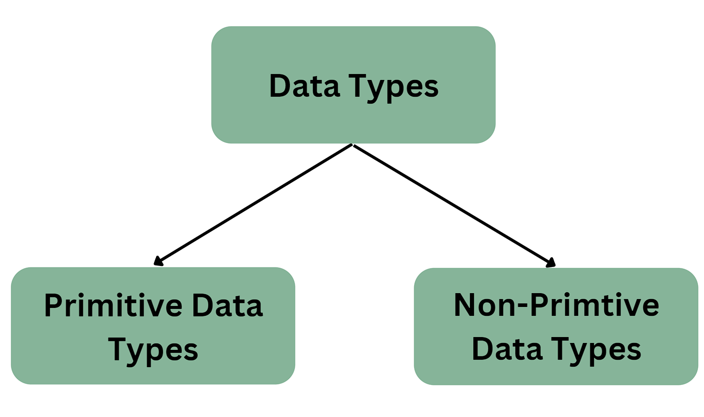 Primitive vs Non Primitive data types - CodeWithRandom