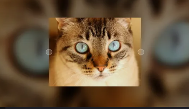 Background Blurred CSS Images